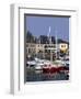 Harbour, Paimpol, Cotes d'Armor, Brittany, France-David Hughes-Framed Photographic Print