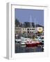 Harbour, Paimpol, Cotes d'Armor, Brittany, France-David Hughes-Framed Photographic Print