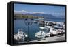 Harbour, Perdika Aegina, Saronic Islands, Greek Islands, Greece-Rolf Richardson-Framed Stretched Canvas