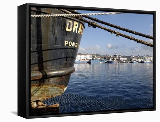 Harbour, Ponta Delgada, Sao Miguel Island, Azores, Portugal, Europe-De Mann Jean-Pierre-Framed Stretched Canvas