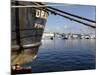 Harbour, Ponta Delgada, Sao Miguel Island, Azores, Portugal, Europe-De Mann Jean-Pierre-Mounted Photographic Print