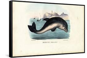 Harbour Porpoise, 1863-79-Raimundo Petraroja-Framed Stretched Canvas