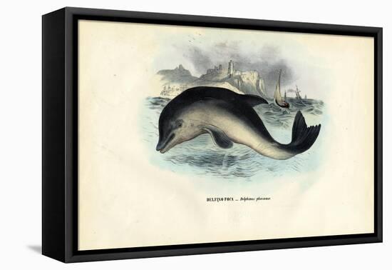 Harbour Porpoise, 1863-79-Raimundo Petraroja-Framed Stretched Canvas