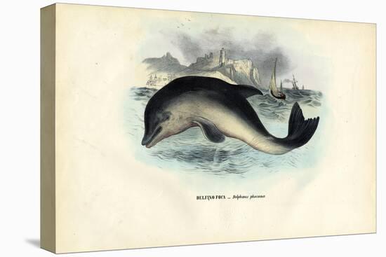 Harbour Porpoise, 1863-79-Raimundo Petraroja-Stretched Canvas