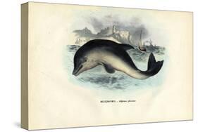 Harbour Porpoise, 1863-79-Raimundo Petraroja-Stretched Canvas