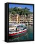 Harbour, Portofino, Liguria, Italy-Richard Ashworth-Framed Stretched Canvas