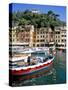 Harbour, Portofino, Liguria, Italy-Richard Ashworth-Stretched Canvas