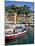 Harbour, Portofino, Liguria, Italy-Richard Ashworth-Mounted Photographic Print