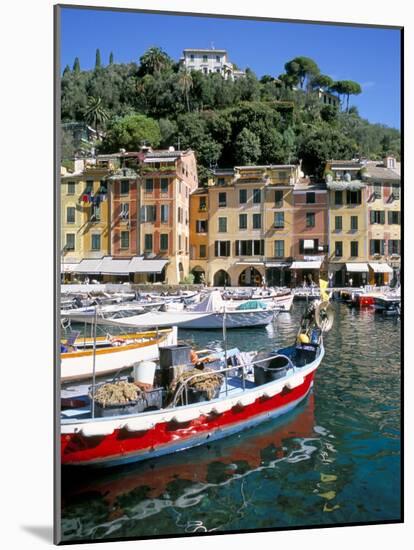 Harbour, Portofino, Liguria, Italy-Richard Ashworth-Mounted Photographic Print