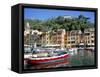 Harbour, Portofino, Liguria, Italy-Richard Ashworth-Framed Stretched Canvas