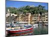 Harbour, Portofino, Liguria, Italy-Richard Ashworth-Mounted Photographic Print