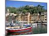 Harbour, Portofino, Liguria, Italy-Richard Ashworth-Mounted Photographic Print