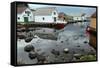 Harbour, Rott Island, Off Stavanger, Norway, Scandinavia, Europe-David Lomax-Framed Stretched Canvas