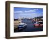 Harbour, Seahouses, Northumberland, England, United Kingdom-Geoff Renner-Framed Photographic Print