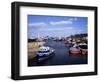 Harbour, Seahouses, Northumberland, England, United Kingdom-Geoff Renner-Framed Photographic Print