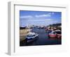 Harbour, Seahouses, Northumberland, England, United Kingdom-Geoff Renner-Framed Photographic Print