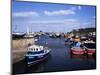 Harbour, Seahouses, Northumberland, England, United Kingdom-Geoff Renner-Mounted Photographic Print