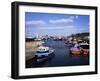 Harbour, Seahouses, Northumberland, England, United Kingdom-Geoff Renner-Framed Photographic Print