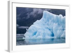 Harbour Seal (Phoca Vitulina)-Michael Nolan-Framed Photographic Print