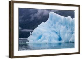 Harbour Seal (Phoca Vitulina)-Michael Nolan-Framed Photographic Print