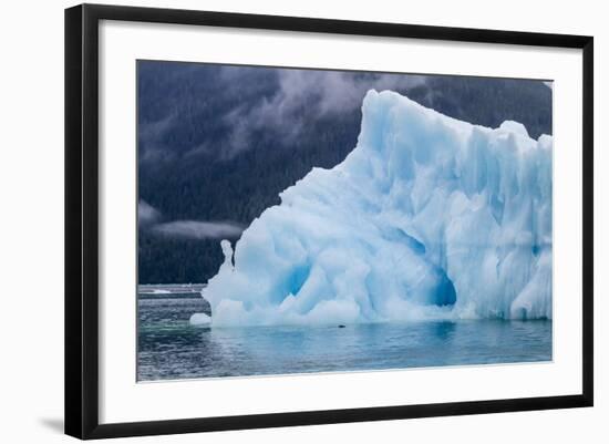 Harbour Seal (Phoca Vitulina)-Michael Nolan-Framed Photographic Print