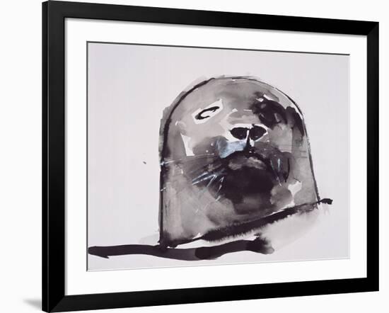 Harbour seal, West Cove-Mark Adlington-Framed Premium Giclee Print