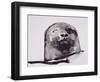 Harbour seal, West Cove-Mark Adlington-Framed Giclee Print