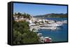 Harbour, Skiathos Town, Skiathos Island, Sporades Islands, Greek Islands, Greece, Europe-Stuart Black-Framed Stretched Canvas