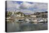 Harbour, Torquay, Devon. England, United Kingdom, Europe-Rolf Richardson-Stretched Canvas