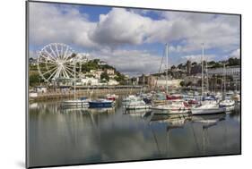 Harbour, Torquay, Devon. England, United Kingdom, Europe-Rolf Richardson-Mounted Photographic Print