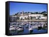 Harbour, Torquay, Devon, England, United Kingdom-J Lightfoot-Framed Stretched Canvas