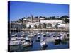 Harbour, Torquay, Devon, England, United Kingdom-J Lightfoot-Stretched Canvas