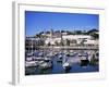 Harbour, Torquay, Devon, England, United Kingdom-J Lightfoot-Framed Photographic Print