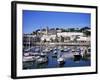 Harbour, Torquay, Devon, England, United Kingdom-J Lightfoot-Framed Photographic Print