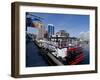 Harbour Walk and City View, Halifax, Nova Scotia, Canada, North America-Ethel Davies-Framed Photographic Print