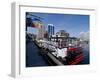 Harbour Walk and City View, Halifax, Nova Scotia, Canada, North America-Ethel Davies-Framed Photographic Print