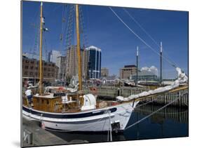 Harbour Walk, Halifax, Nova Scotia, Canada, North America-Ethel Davies-Mounted Photographic Print