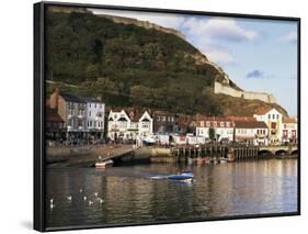 Harbour, with Castle on Hill Above, Scarborough, Yorkshire, England, United Kingdom-Adina Tovy-Framed Photographic Print