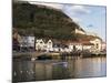 Harbour, with Castle on Hill Above, Scarborough, Yorkshire, England, United Kingdom-Adina Tovy-Mounted Photographic Print