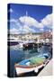 Harbour with Fishing Boats, Porto Azzuro, Island of Elba, Livorno Province, Tuscany, Italy-Markus Lange-Stretched Canvas