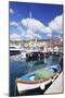 Harbour with Fishing Boats, Porto Azzuro, Island of Elba, Livorno Province, Tuscany, Italy-Markus Lange-Mounted Photographic Print