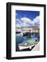 Harbour with Fishing Boats, Porto Azzuro, Island of Elba, Livorno Province, Tuscany, Italy-Markus Lange-Framed Photographic Print