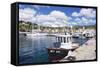 Harbour with Fishing Boats, Porto Azzuro, Island of Elba-Markus Lange-Framed Stretched Canvas