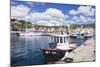 Harbour with Fishing Boats, Porto Azzuro, Island of Elba-Markus Lange-Mounted Photographic Print