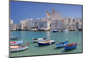 Harbour with Old Town and Cathedral, Giovinazzo, Province of Bari, Apulia, Italy-Markus Lange-Mounted Photographic Print