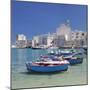 Harbour with Old Town and Cathedral, Giovinazzo, Province of Bari, Apulia, Italy-Markus Lange-Mounted Photographic Print