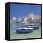 Harbour with Old Town and Cathedral, Giovinazzo, Province of Bari, Apulia, Italy-Markus Lange-Framed Stretched Canvas