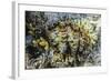 Hard and Soft Corals and Giant Clam Underwater on Sebayur Island-Michael Nolan-Framed Photographic Print