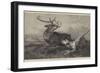 Hard Pressed-Richard Ansdell-Framed Giclee Print