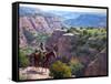 Hard to Get To-Jack Sorenson-Framed Stretched Canvas